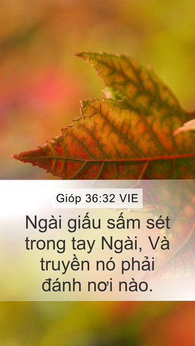 Gióp 36:32 VIE Bible Verse Image
