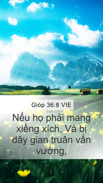 Gióp 36:8 VIE Bible Verse Image