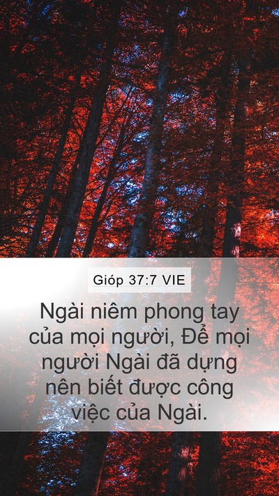 Gióp 37:7 VIE Bible Verse Image