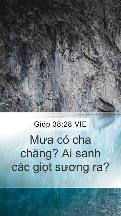 Gióp 38:28 VIE Bible Verse Image