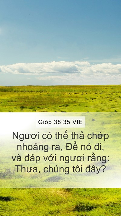 Gióp 38:35 VIE Mobile Phone Wallpaper - Ngươi có thế thả chớp nhoáng ra, Để - Mobile Bible Verse Wallpaper