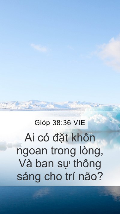 Gióp 38:36 VIE Bible Verse Image