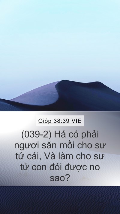 Gióp 38:39 VIE Bible Verse Image