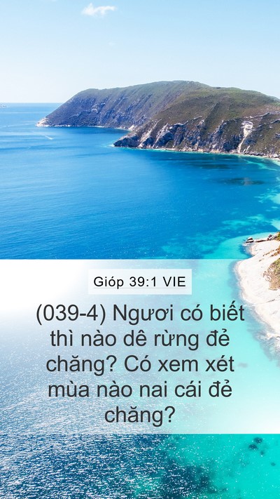 Gióp 39:1 VIE Bible Verse Image