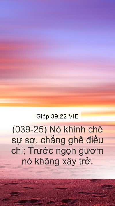 Gióp 39:22 VIE Bible Verse Image
