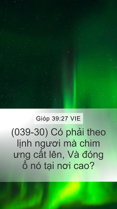 Gióp 39:27 VIE Bible Verse Image