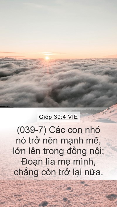 Gióp 39:4 VIE Mobile Phone Wallpaper - (039-7) Các con nhỏ nó trở nên mạnh - Mobile Bible Verse Wallpaper