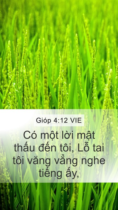 Gióp 4:12 VIE Bible Verse Image