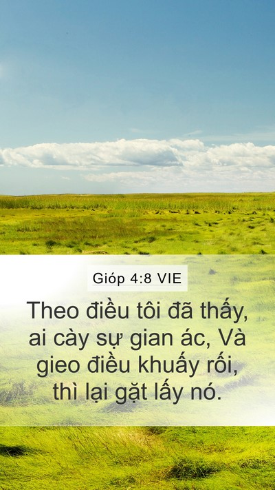 Gióp 4:8 VIE Bible Verse Image
