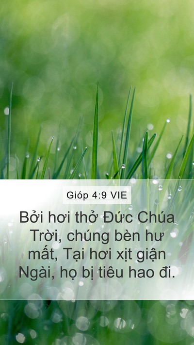 Gióp 4:9 VIE Bible Verse Image