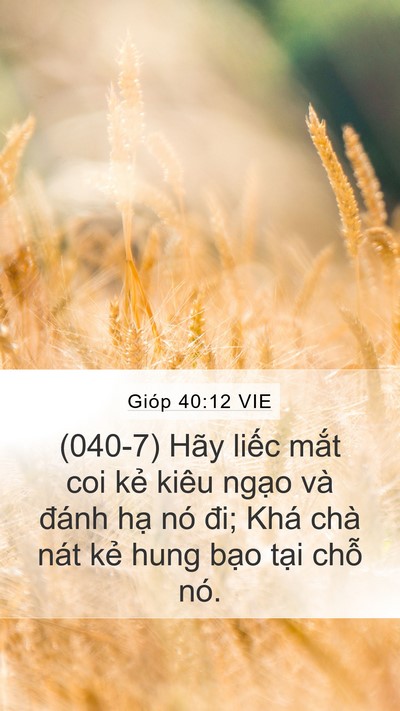 Gióp 40:12 VIE Bible Verse Image