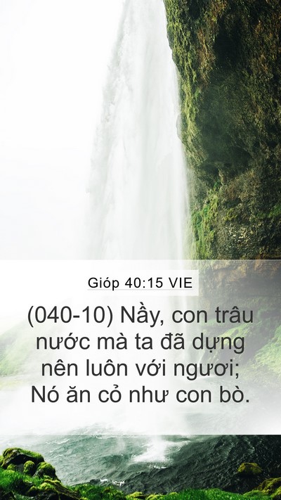 Gióp 40:15 VIE Bible Verse Image