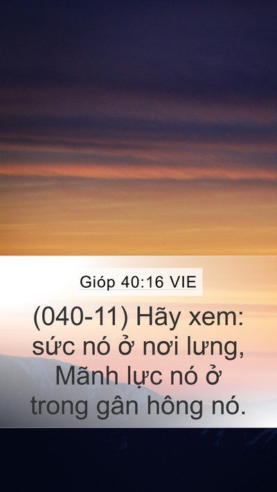 Gióp 40:16 VIE Mobile Phone Wallpaper - (040-11) Hãy xem: sức nó ở nơi lưng, - Mobile Bible Verse Wallpaper