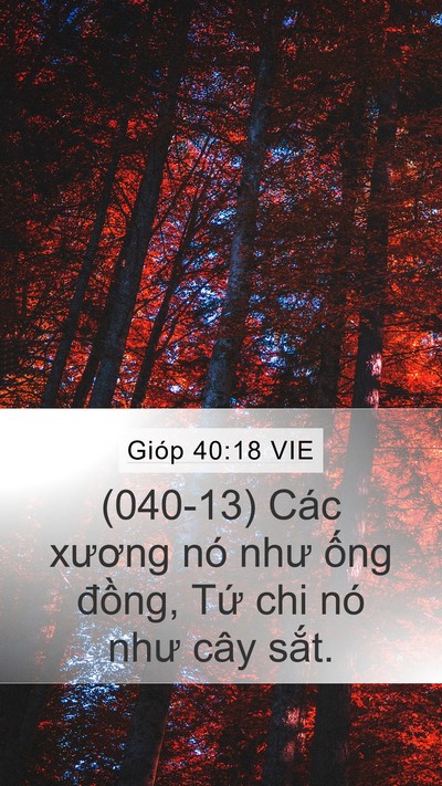 Gióp 40:18 VIE Bible Verse Image