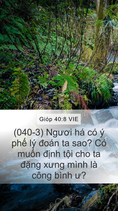 Gióp 40:8 VIE Bible Verse Image