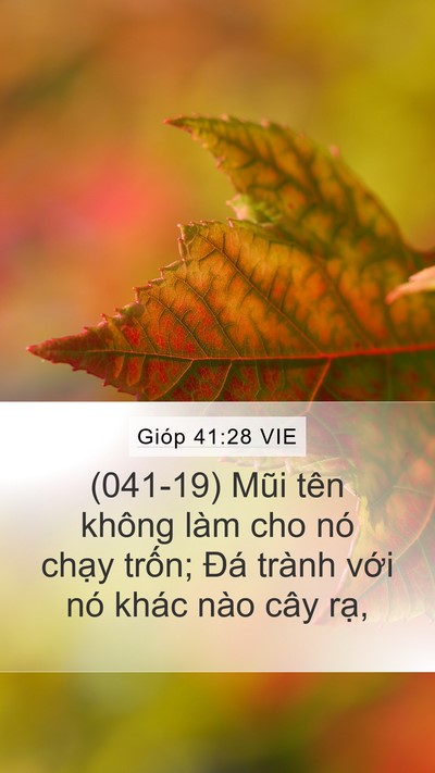 Gióp 41:28 VIE Bible Verse Image