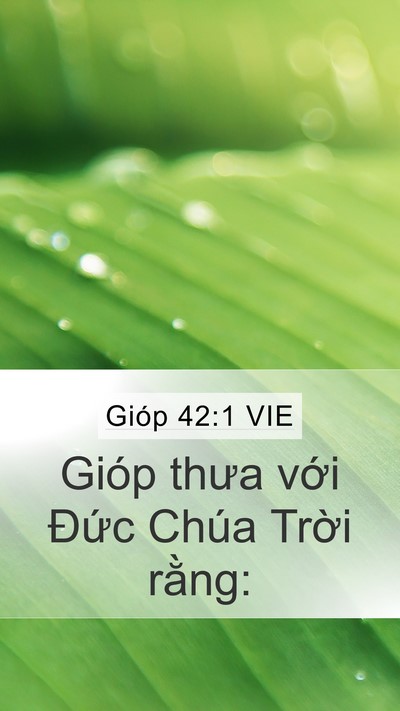 Gióp 42:1 VIE Mobile Phone Wallpaper - Gióp thưa với Đức Chúa Trời - Mobile Bible Verse Wallpaper