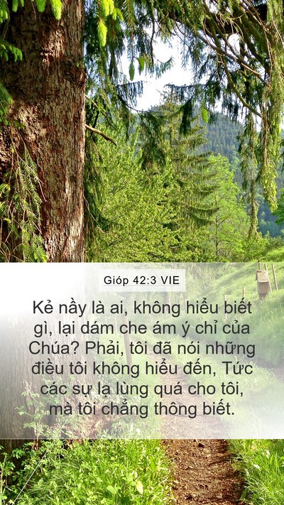 Gióp 42:3 VIE Bible Verse Image