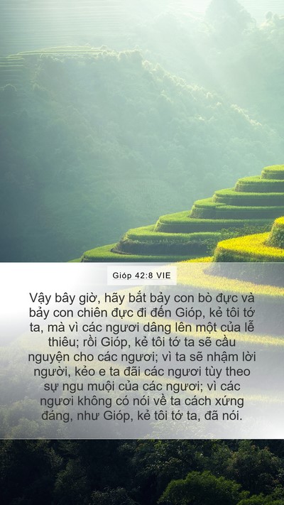 Gióp 42:8 VIE Bible Verse Image