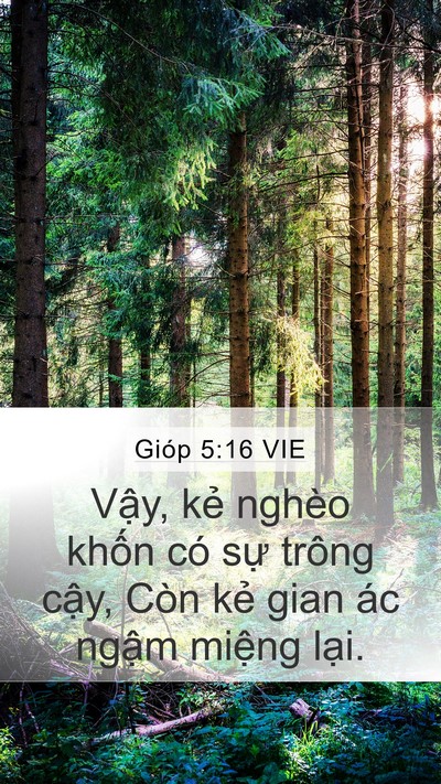 Gióp 5:16 VIE Bible Verse Image