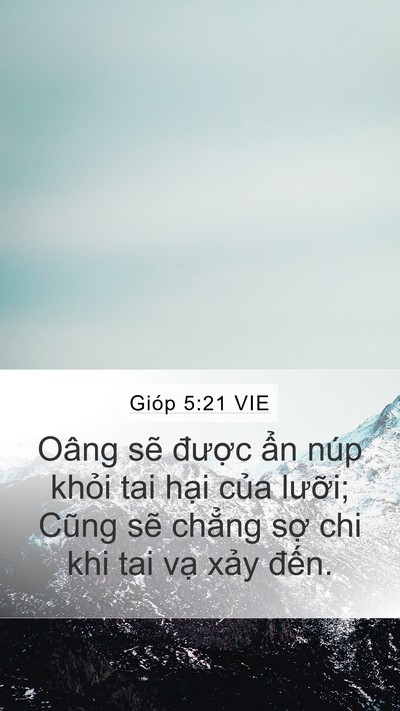 Gióp 5:21 VIE Bible Verse Image
