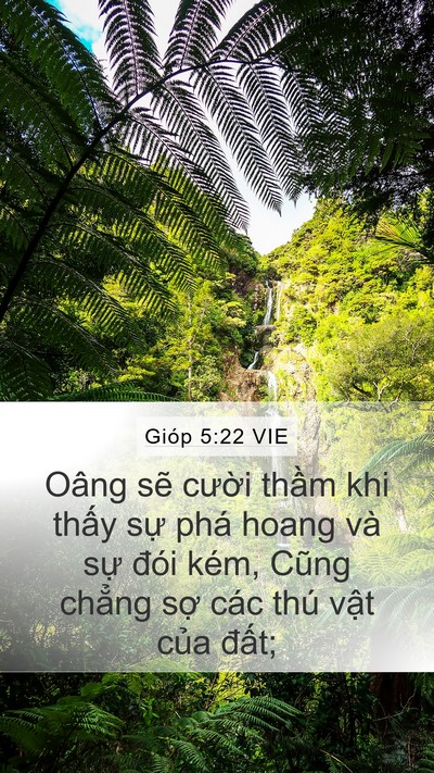 Gióp 5:22 VIE Bible Verse Image