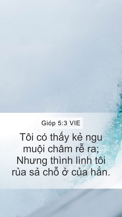 Gióp 5:3 VIE Bible Verse Image