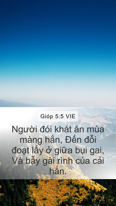 Gióp 5:5 VIE Bible Verse Image
