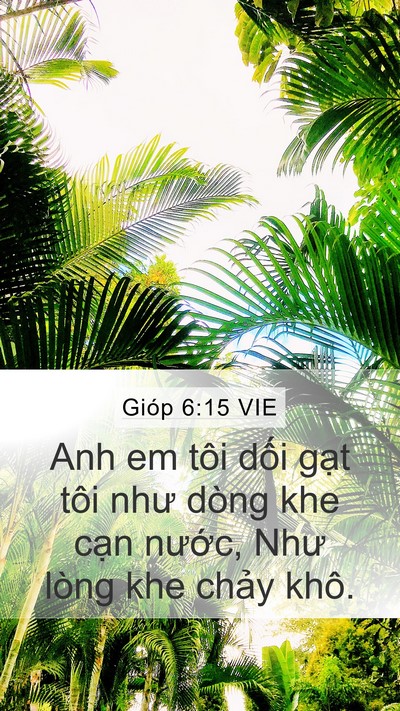 Gióp 6:15 VIE Bible Verse Image