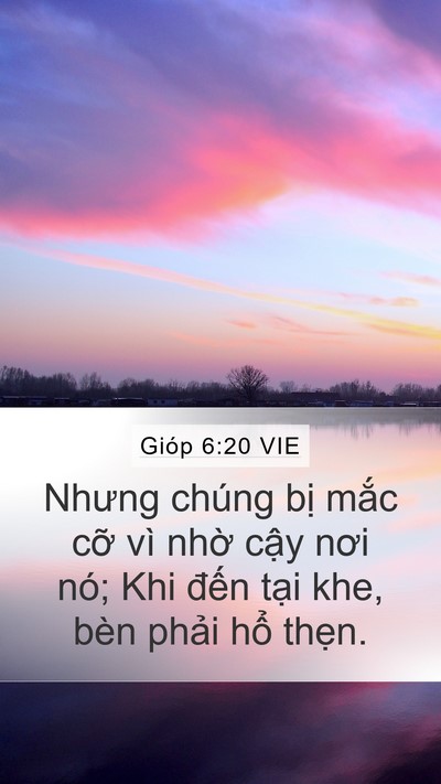 Gióp 6:20 VIE Bible Verse Image