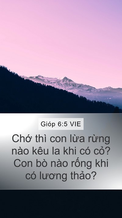 Gióp 6:5 VIE Bible Verse Image
