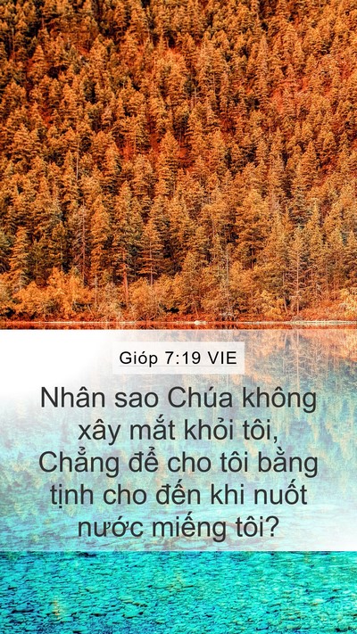 Gióp 7:19 VIE Bible Verse Image