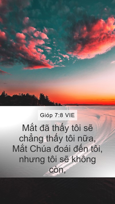 Gióp 7:8 VIE Bible Verse Image