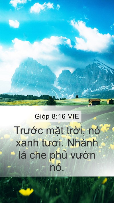 Gióp 8:16 VIE Bible Verse Image