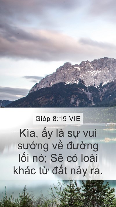 Gióp 8:19 VIE Bible Verse Image