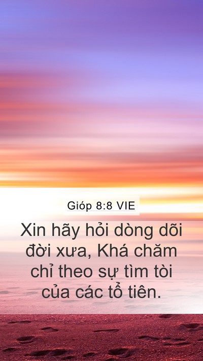 Gióp 8:8 VIE Bible Verse Image