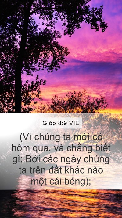 Gióp 8:9 VIE Bible Verse Image