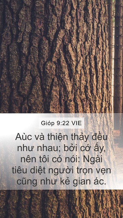 Gióp 9:22 VIE Bible Verse Image