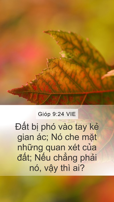 Gióp 9:24 VIE Bible Verse Image