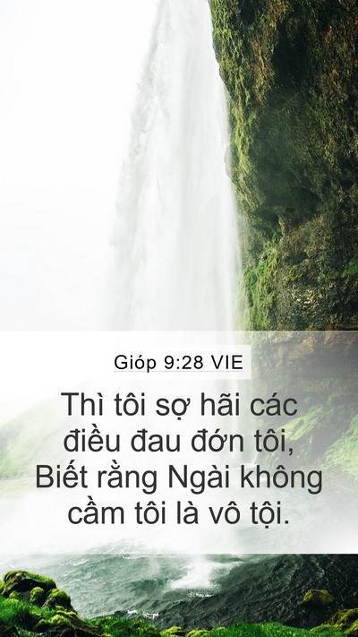 Gióp 9:28 VIE Bible Verse Image