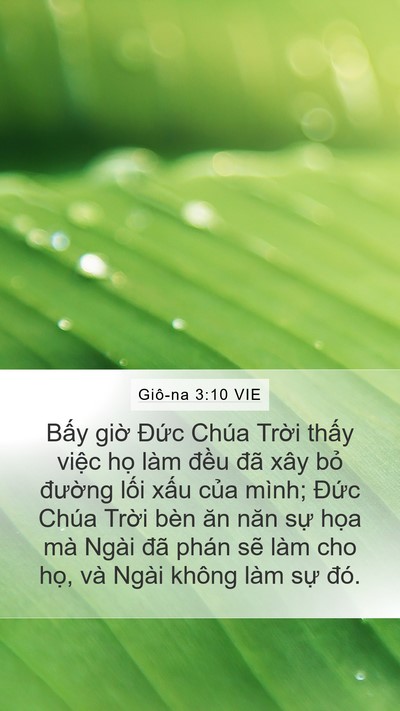 Giô-na 3:10 VIE Bible Verse Image