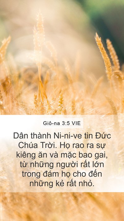 Giô-na 3:5 VIE Bible Verse Image