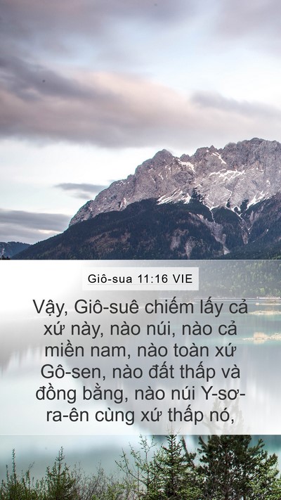 Giô-sua 11:16 VIE Bible Verse Image