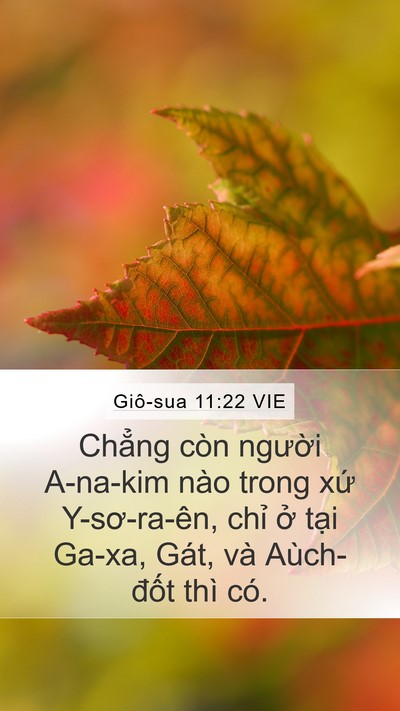 Giô-sua 11:22 VIE Mobile Phone Wallpaper - Chẳng còn người A-na-kim nào trong xứ - Mobile Bible Verse Wallpaper