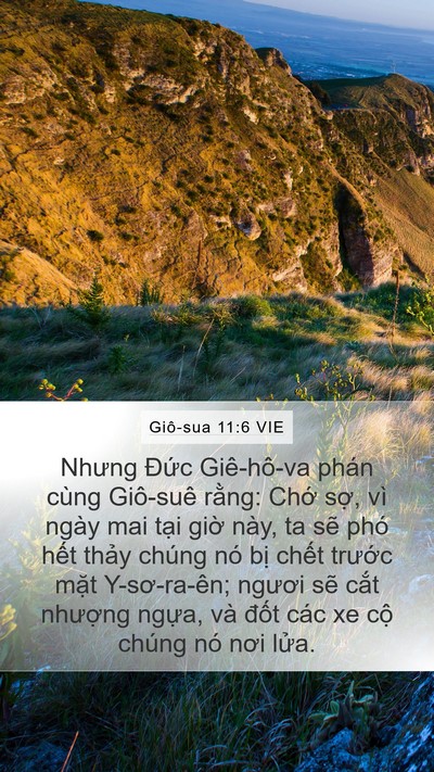 Giô-sua 11:6 VIE Bible Verse Image