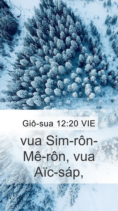 Giô-sua 12:20 VIE Mobile Phone Wallpaper - vua Sim-rôn-Mê-rôn, vua - Mobile Bible Verse Wallpaper