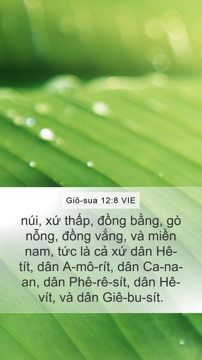 Giô-sua 12:8 VIE Bible Verse Image