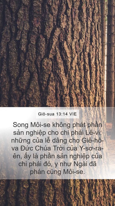 Giô-sua 13:14 VIE Bible Verse Image