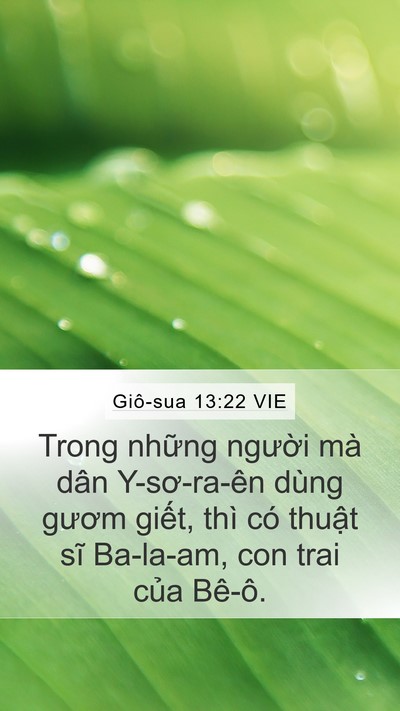Giô-sua 13:22 VIE Mobile Phone Wallpaper - Trong những người mà dân Y-sơ-ra-ên - Mobile Bible Verse Wallpaper