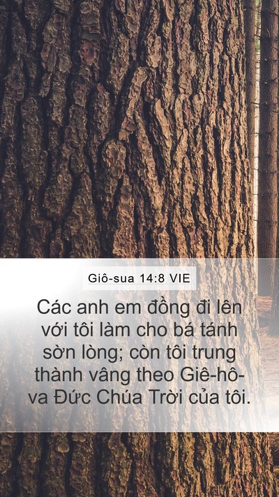 Giô-sua 14:8 VIE Bible Verse Image